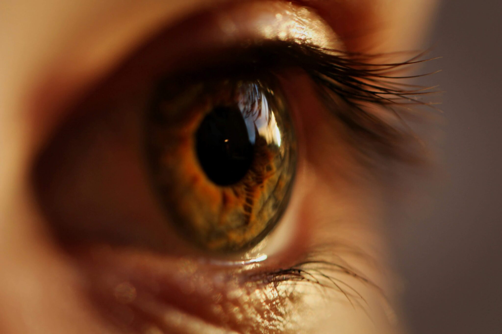 Featured image for “Good Vision Doesn’t Mean Healthy Eyes: What a Retinal Scan Finds”